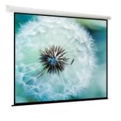 Viewscreen Breston (1:1) 148" 274*274 MW